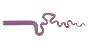Spring Purple Rod